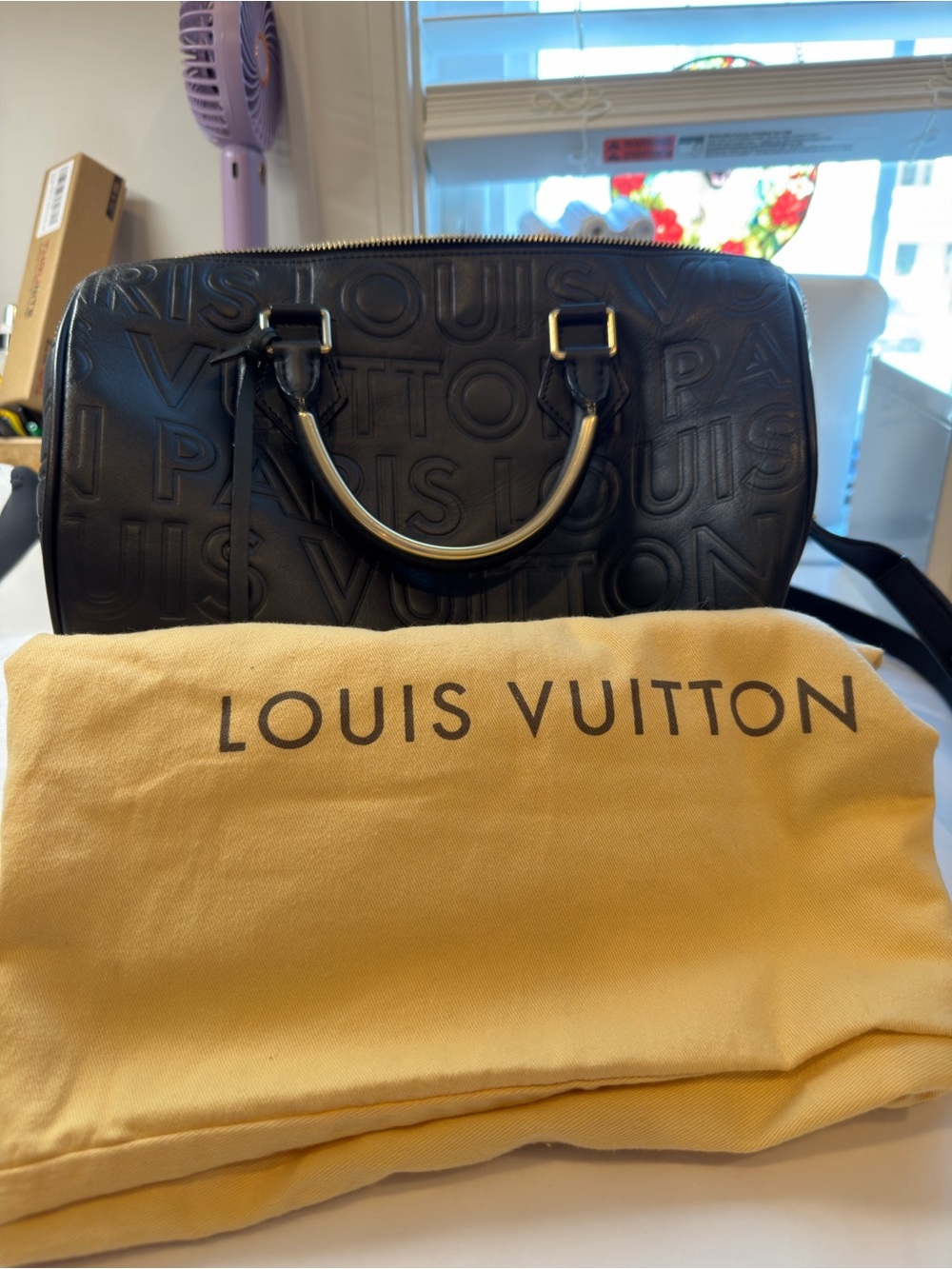 Louis Vuitton Paris Speedy Cube satchel